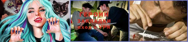 PSILOCYBIN Балабаново