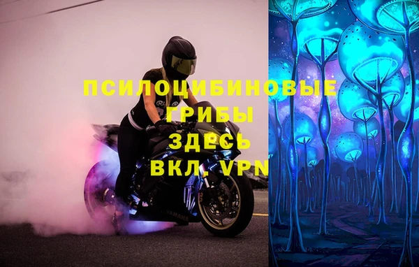 PSILOCYBIN Балабаново
